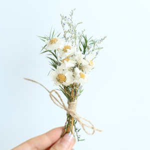 Elegante Mini Ramo <span class=keywords><strong>de</strong></span> Flores Secas Naturales <span class=keywords><strong>con</strong></span> Técnica <span class=keywords><strong>de</strong></span> Secado Natural <span class=keywords><strong>para</strong></span> Decoraciones <span class=keywords><strong>de</strong></span> Bodas, Navidad, Pascua y <span class=keywords><strong>Cumpleaños</strong></span> - Product Image 2