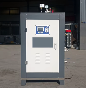 Certifié CE Évaporateur <span class=keywords><strong>de</strong></span> gaz naturel Chaudière à eau chaude qui brûle du charbon à granulés <span class=keywords><strong>de</strong></span> biomasse ligneuse solide - Product Image 4