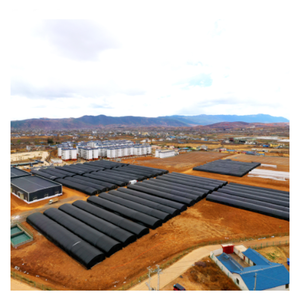 Túnel de Privación de Luz para Cultivo de Hongos con Sistema de Control Ambiental Automático, Precio de Fábrica - Product Image 2