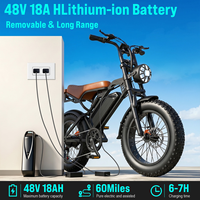 Şehir İçi Elektrikli Bisiklet 20 İnç Şişman Lastik Fırçasız Arka Motor 48V 18Ah 250W 7 Vitesli Çıkarılabilir Pil LED Far Yetişkinler İçin