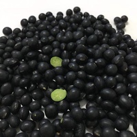 Grosir Grosir 25Kg Per Kantong Biji Kedelai Hitam