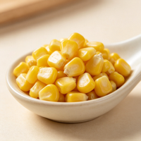 批发厂价 IQF 冷冻玉米粒 一级甜玉米粒 大量供应，用于食品加工和沙拉