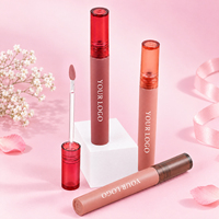 Gloss à lèvres velours hydratant, éclat doux, antioxydant, résistant à la décoloration, teinte à lèvres végane, gloss professionnel pour maquilleurs et salons