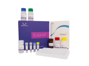 Kit <span class=keywords><strong>ELISA</strong></span> pour la souris NFKB-p65 (facteur nucléaire kappa <span class=keywords><strong>B</strong></span> P65) largement utilisé dans les procédures <span class=keywords><strong>ELISA</strong></span> et d'immunoanalyse - Product Image 6