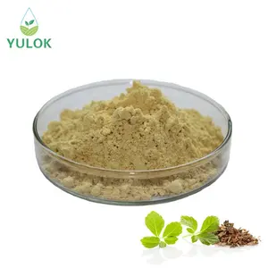 Pure Natural Health Organic Instant Soluble Gynostemma Extract Powder Used For Health Product Industry