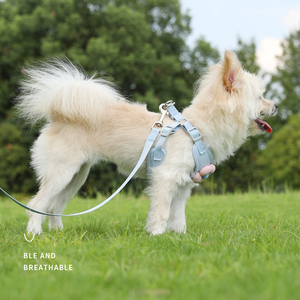 Imbracatura e guinzaglio unico personalizzato Set di imbracature per cani e guinzagli per animali domestici Set accessori per cani - Product Image 4