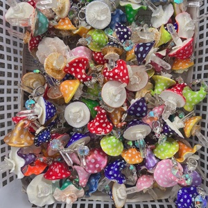 Bán Hot đá tự nhiên chữa bệnh tinh thể rõ ràng thạch anh điểm nấm Keychain đá quý thạch anh để trang trí - Product Image 4