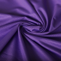 2025 Factory Custom Violet Atmungsaktive MTB/BMX/MX Jersey Sport oberteile für Männer Frauen