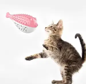 Giocattoli interattivi a forma di pesce gatto spazzolino da denti a corda sonora di marca Lynpet