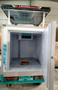 Tricycle Réfrigéré à Énergie <span class=keywords><strong>Solaire</strong></span>/Électrique/essence pour Crème Glacée avec Boîte Réfrigérée et Chambre Froide Portable - Offre Spéciale - Product Image 5