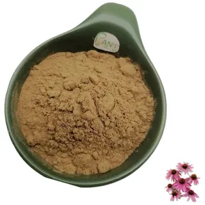 Fabrieksleverancier Echinacea Purpurea Kruidenpoeder Extract 4% Chicorinezuur Poeder