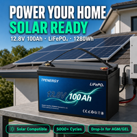 Batería de Ciclo Profundo TPENERGY 12V 100Ah LFP con BMS Integrado de 100A, Reemplaza AGM GEL, Libre de Mantenimiento
