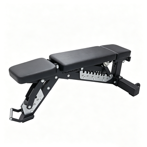 Panca per Pesi Regolabile Multifunzionale per Casa e Palestra, Set di Attrezzature per Allenamento di Forza, Design Pieghevole - Product Image 3