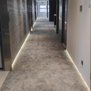 Tùy Chỉnh Độ Nét Cao In Chống Cháy Thảm Có Thể Giặt Đầy Đủ Tường Để Tường 100% Nylon Thảm Cho Khách Sạn Hành Lang Phòng - Product Image 5