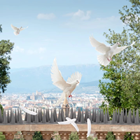 Lot de 10 griffes anti-oiseaux à profil bas 50 cm en plastique PP, anti-pigeons, faciles à découper sur mesure, pré-percées, étanches pour rebords de fenêtre, balcons et environnements urbains