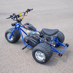 Scooter Motorizado de 3 Ruedas Premium Tvg, Abierto para Pasajeros, Conducción Suave, Alto Rendimiento, 800W 60V, Mini Trike 250cc+, Rápido - Product Image 1