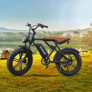 750W Ebike 20Inch Fat Tire Electronic Bicycle Factory Price All Terain Off Road Electric Bicycle Full Suspension Electric Bike