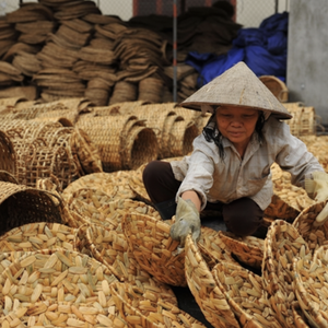 High Quality Rectangular Water Hyacinth <b>Carpet</b> Rug Wholesale Vietnam - Product Image 1