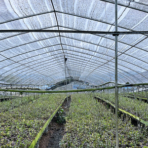 HDPE черная однотонная тканая Солнцезащитная сетка с высокой скоростью затенения для сада и сельского хозяйства - Product Image 6