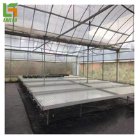 Plateaux d'inondation de table de flux et de reflux de haute qualité systèmes de culture hydroponiques en serre agricole
