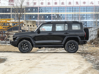 Новые и подержанные внедорожники Tank 300 и Tank 500 2024-2025 годов выпуска, 2.0T, Great Wall, 4WD, бензиновые, в продаже