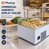 Vitrine Réfrigérée Commerciale Ouverte pour Sandwichs et Plats Préparés, avec Plateau Froid et Arche Lumineuse en Acier Inoxydable