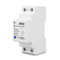 Interruptor inteligente WiFi TOMZN 80A 2P para riel DIN, control remoto por TUYA Smartlife con Alexa y Google Home para el hogar.