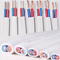 Kabel Listrik Aman BVVB PVC Berlapis Pipih Kawat Tembaga Padat Kembar 2 Inti 1.5 2.5 4.0 6.0 Selubung Putih Inti Kembar 300/500v