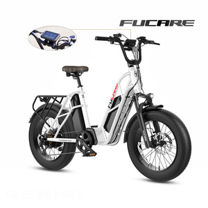 <span class=keywords><strong>2023</strong></span> Offre Spéciale 48v 750w double batterie Ebike en alliage d'aluminium électrique gros pneu Cargo vélo - Product Image 1