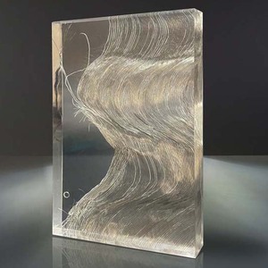 แผ่นอะคริลิคขนนกลายดอกไม้สั่งทำสำหรับตกแต่งบ้านพร้อมบริการตัด - Product Image 6