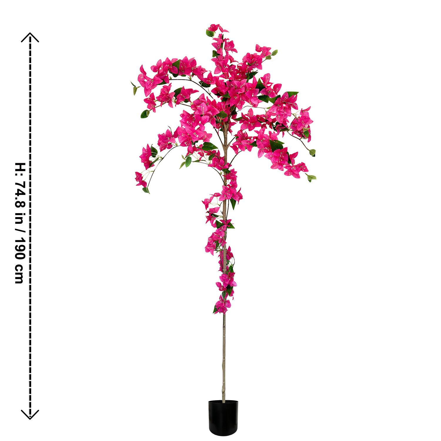 Bougainvillier rose enroulé de 1,9 m