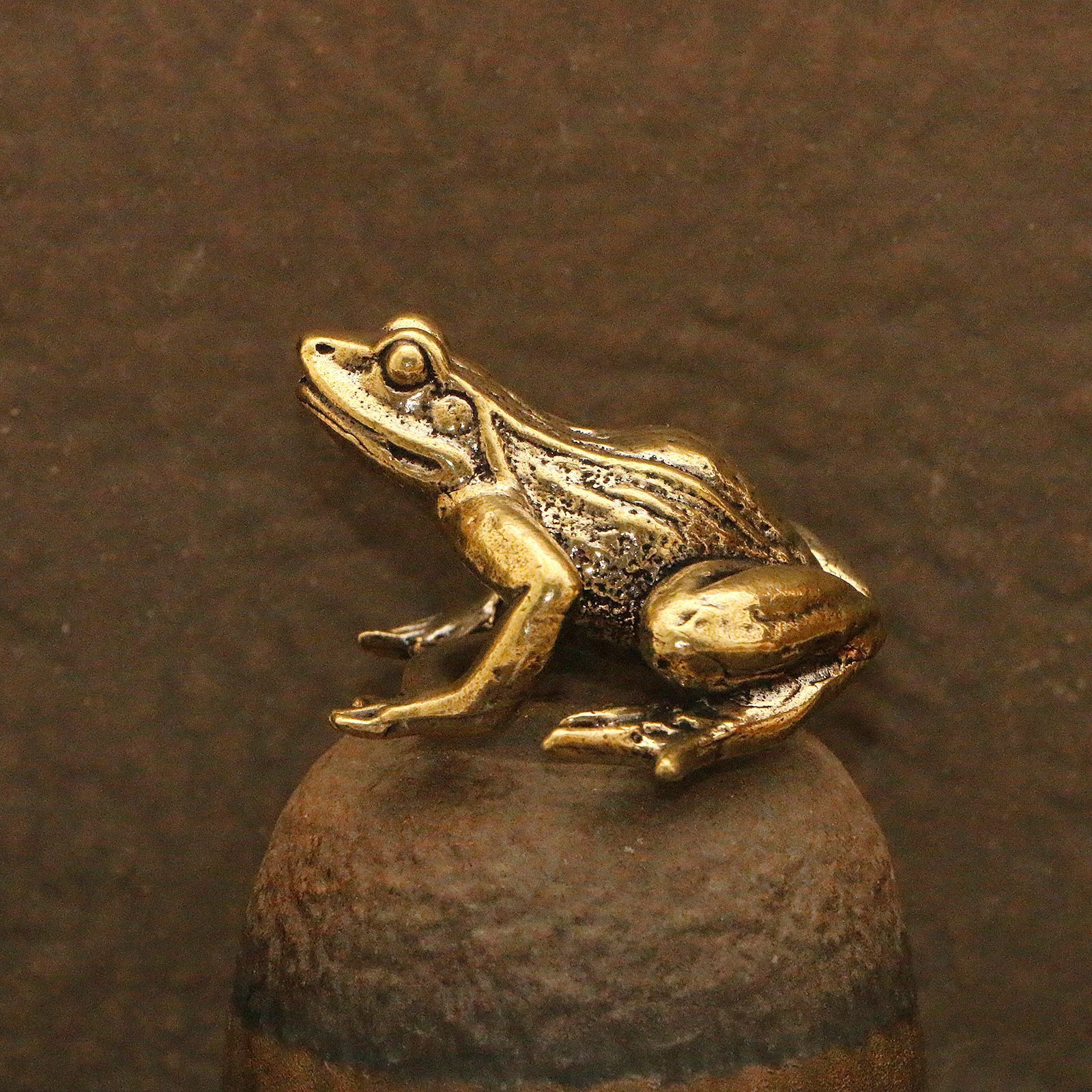 Grenouille en cuir colorée à grands motifs