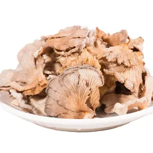 White Natural Schizophyllum commune mushrooms wild dried Split-gill mushroom for sale