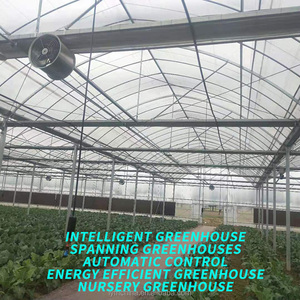 Op maat gemaakte grote commerciële tomatenkas, enkellaags, multi-span, uitgerust met corrosiebestendige, slimme landbouwtechnologie - Product Image 2