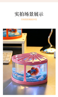Mini aquarium écologique en plastique pour petites tortues et poissons Betta, utilisation en cuisine avec accessoires