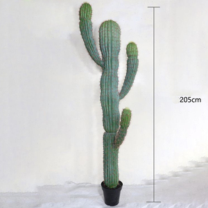I186 <span class=keywords><strong>Cactus</strong></span> <span class=keywords><strong>Sans</strong></span> Pot Noir Nordique Plante Verte Artificielle Intérieur Salon Fenêtre Décoration - Product Image 1