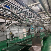 Línea Industrial de Sacrificio de Ganado, Máquina de Sacrificio Halal de Acero Inoxidable 304 para Mataderos