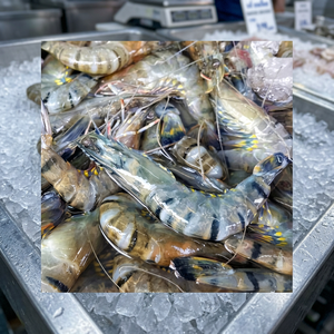 Crevettes tigrées noires sans tête 2022, taille 31/40, surgelées, provenance Thaïlande - Product Image 2