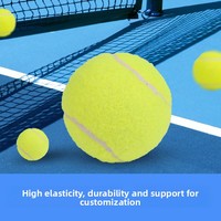 BTYP WQ-04 Ballons de padel haute performance, durables, rebond élevé, 300g, lot de 3, pour entraînement, adultes, jeunes, débutants