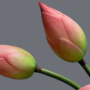 Collection réaliste de lotus artificiels au toucher humide pour les bassins à poissons décoratifs, les éléments aquatiques et la décoration intérieure verte - Product Image 4