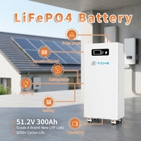 Batería de Litio de 15 kWh y 300 Ah, 51.2 V, LiFePO4, con BMS Integrado para Almacenamiento de Energía en el Hogar