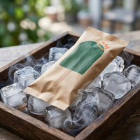 Sac d'emballage pour crème glacée en papier kraft PLA biodégradable personnalisé, sac jetable auto-adhésif pour bâtonnets glacés et lait