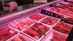 Venta al por mayor de refrigeradores y congeladores de temperatura única de gran capacidad para modo de enfriamiento directo de servicio de alimentos - Product Image 5