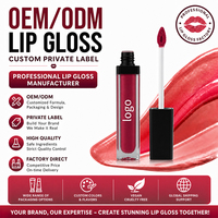 Fabricant OEM ODM Marque Privée Personnalisée Gloss à Lèvres Coréen Naturel Végétalien Longue Durée Hydratant Brillant Effet Velours