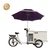 Mobile Electric Food Bicycle