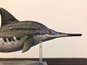 PVC modelo hueco simulado Megalodon tiburón tigre niños criaturas marinas ornamento plástico dinosaurio animales - Product Image 4