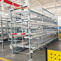 Cage à poulets de chair automatique de type H, galvanisée à chaud, prix usine, équipement d'élevage de poulets de chair, système d'élevage en batterie pour poulaillers