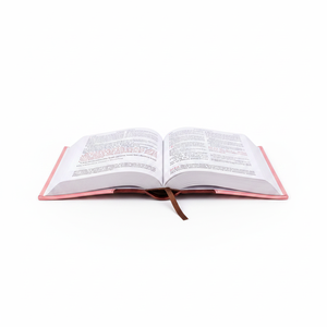 Alta calidad popular al por mayor diario religioso cristiano suave cubierta de cuero PU personalizado servicio de impresión de libros <span class=keywords><strong>Biblia</strong></span> - Product Image 4