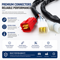 Câble de Harnais PVC Personnalisé OEM ODM avec Conducteur en Cuivre Pur, Adaptateur Connecteur, Fabrication selon Vos Dessins, Conforme RoHS, IP44 pour