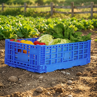 Caisse en plastique pliable HAOSEN, durable et écologique, légère, empilable et emboîtable pour la transformation alimentaire et l'emballage des légumes